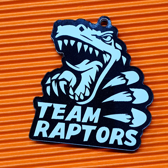 아크릴키홀더 team raptors